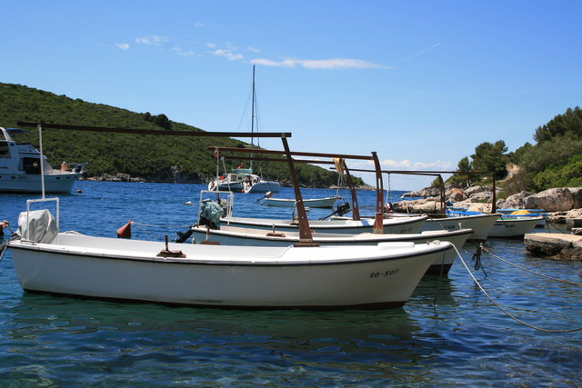 gal/cro 08/small-IMG_5229.JPG